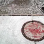 SOS_fish on manhole