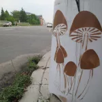 SOS_urban mushrooms01