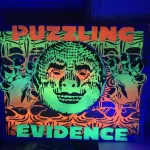 xSacto Puzzling Evidence