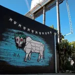 CA San Diego CALMA flags