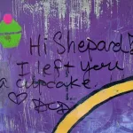 CA San Diego Cupcake for Shepard