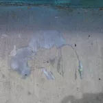 CA San Diego Pokez