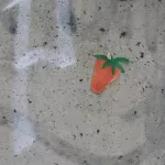 CA San Diego Strawberry