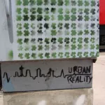 CA San Diego Urban Reality