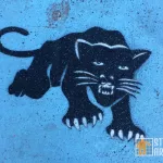 CA Oakland Black Panthers