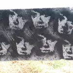CA East Bay Albany Bulb faces