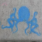 CA East Bay Oakland Octopus