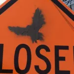 CA East Bay Oakland bird on sign