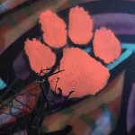 CA East Bay Oakland tiger paw