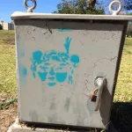 CA East Bay Oakland Lake Merritt face