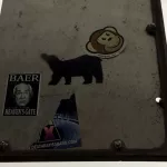 CA East Bay Oakland animal