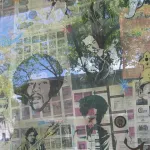 CA East Bay Berkeley Amoeba 01