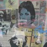 CA East Bay Berkeley Amoeba 08