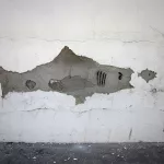 CA Carlsbad Snyder shark