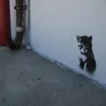 CA LA Long Beach BrettW cute kitten