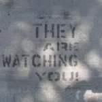 CA LA Culver City Watching