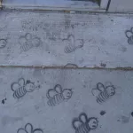 CA LA bees