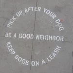 CA LA N Hollywood Pick Up After