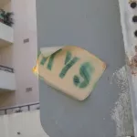 CA LA Venice Beach KYS sticker