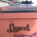 CA LA Venice Beach Local Rubbish