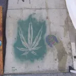 CA LA Venice Beach cannabis