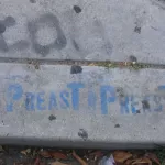CA LA Venice Beach Preast