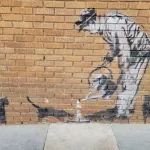 CA LA Venice feeding cats