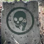 CA LA Skull Phone