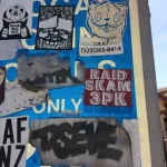 CA LA Highland Park cat DSEVE sticker