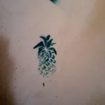 CA Corte Madera pineapple