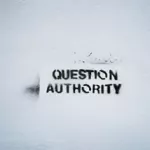CA Shasta City Question Authority
