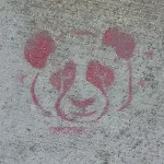 CA Arcata panda