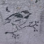 CA Arcata bird