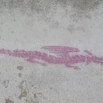 CA Arcata dragon