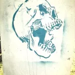 CO Durango skull ph MAC