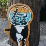 FL Snorkling Cat on panel