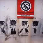 GA Atlanta Cats5