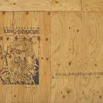 IL Chicago King Phycus mud advert