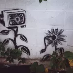 Josh MacPhee Chicago IL Flower TV