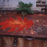 Josh MacPhee Chicago IL leaf