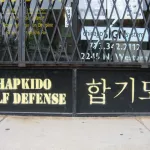 IL Chicago Hapkido