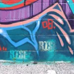 IN Bloomington RISE
