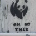 IN_Btown panda