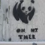 IN Bloomington panda