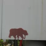 IN Bloomington Bear