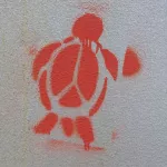 IN Bloomington turtle