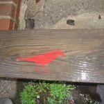 ME Portland Bird