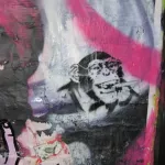 MA Boston chimp smoking