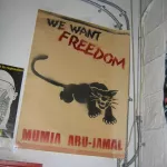 MA Boston Drywall Mumia