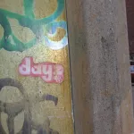 MA Boston dayz 02